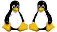 Linux Penguin Logo
